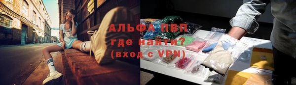 гашик Зеленокумск