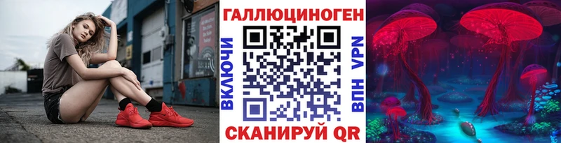 где можно купить наркотик гидра зеркало Псилоцибиновые грибы мицелий Лесной