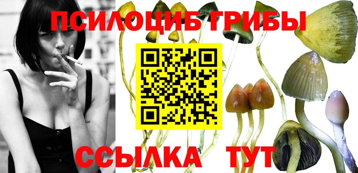 Галлюциногенные грибы мухоморы  закладка  Лесной  Вход с VPN 